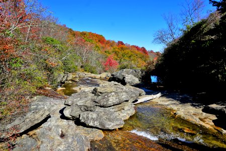 creek Graveyard Fields Blue Ridge ncwetlands KG (9) photo