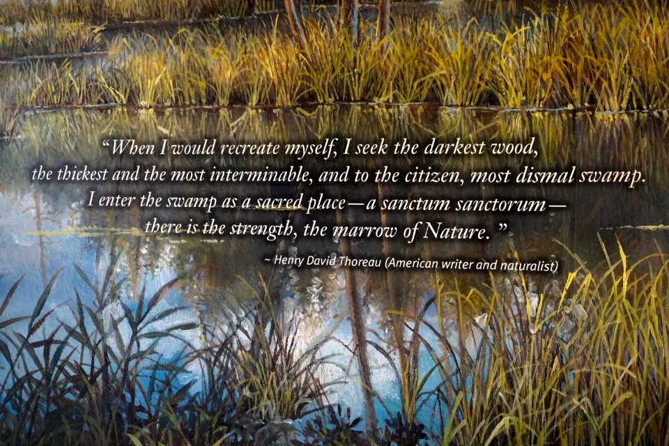 other quote visitor cntr Dismal Swamp SP ncwetlands KG (21)