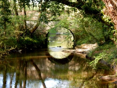 Pont de Forge au Gesvres photo