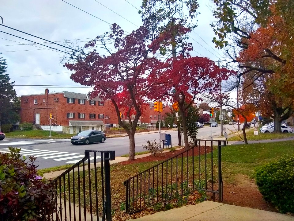 Holme Circle on a fall day
