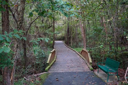 scene Sanford Creek Greenway ncwetlands KG (8)