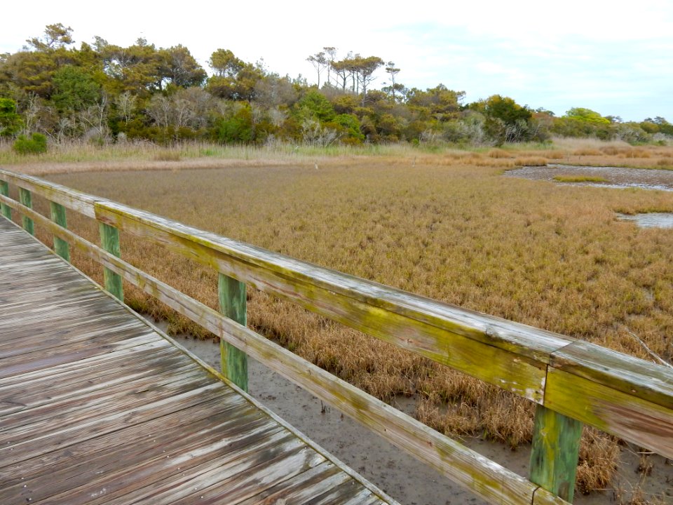 scene oak island 9th st scenic walkway ncwetlands KG (4)