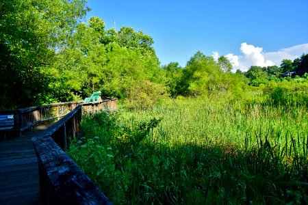 scene Suli Marsh ncwetlands KG (7)