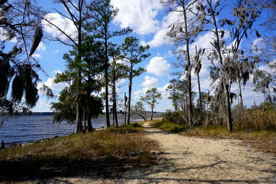 scene Goose Creek SP KG (4)