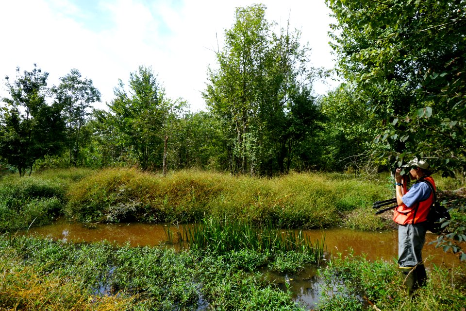 scene Brinkleyville Gameland ncwetlands KG (5)