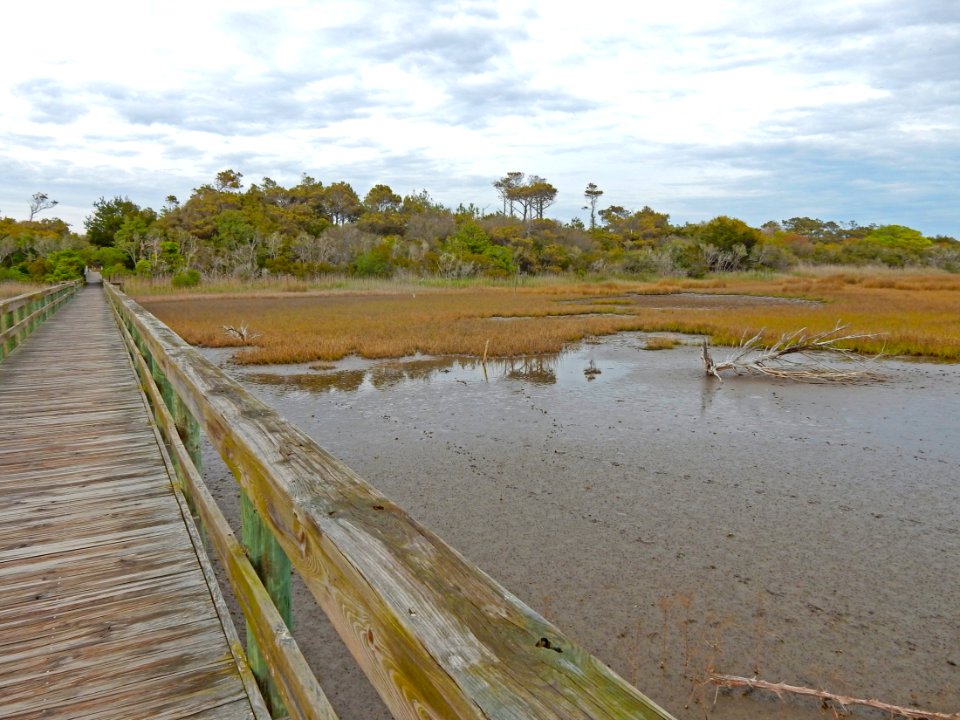 scene oak island 9th st scenic walkway ncwetlands KG (5)