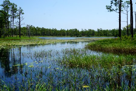 scene patsy's pond croatan NF KG (10)