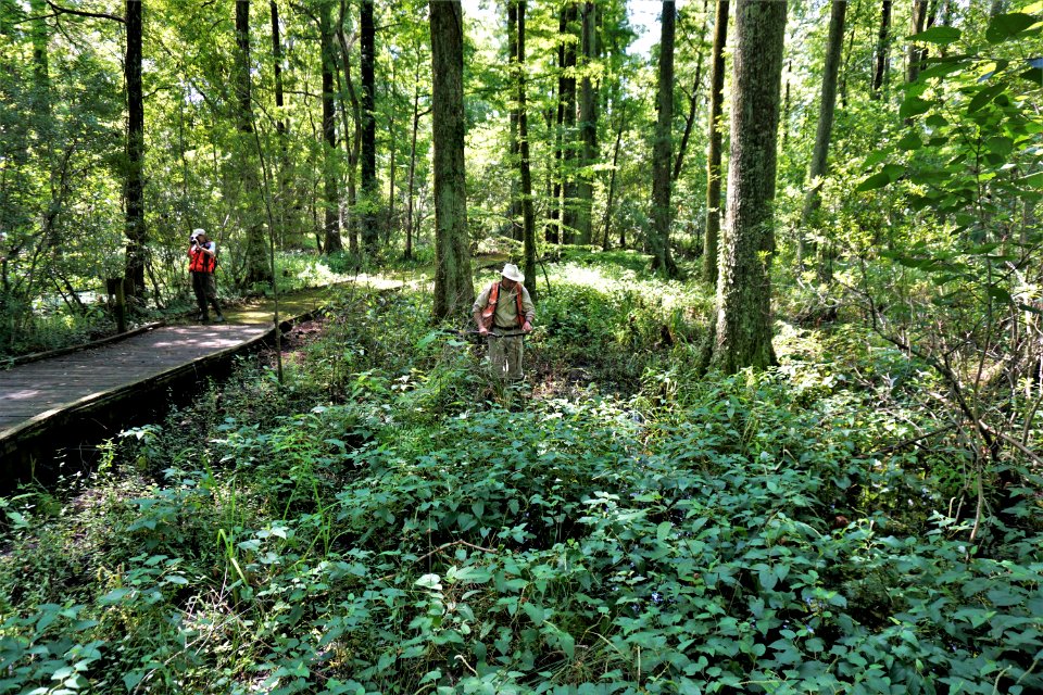 people scientists Lk Mattamuskeet NWR ncwetlands KG