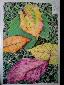 2017 November Art Challenge: fall leaves