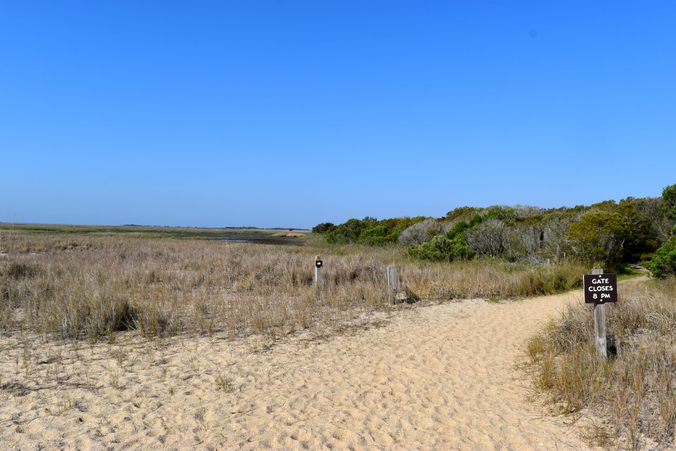 scene trail to wetlands Fort Fisher SRA ncwetlands AM