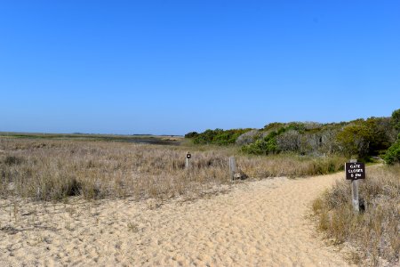 scene trail to wetlands Fort Fisher SRA ncwetlands AM