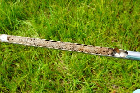 soil Arrowhead Lake fringe marsh pee dee nwr KG