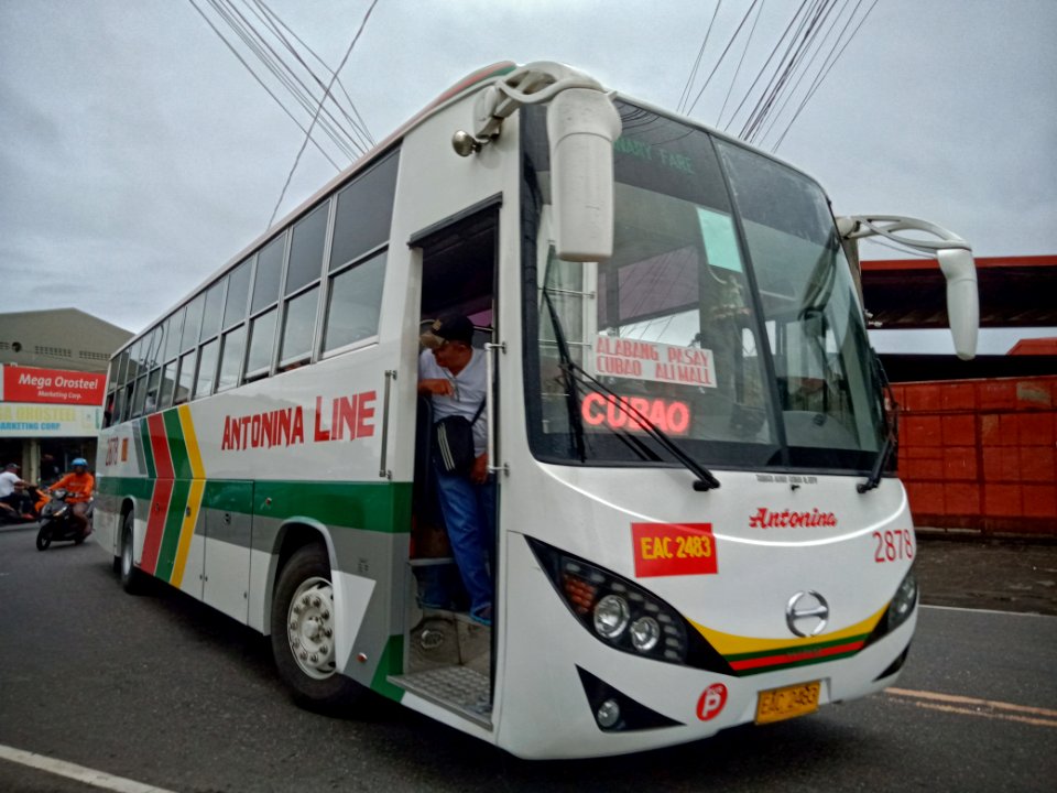 Antonina Line 2878