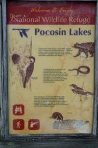 sign Pocosin Lakes NWR ncwetlands KG (2)
