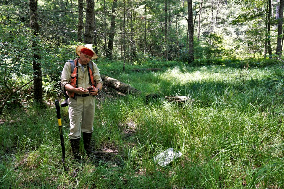 scientist studying wetland Pink Beds Pisgah NF ncwetlands KG (4)