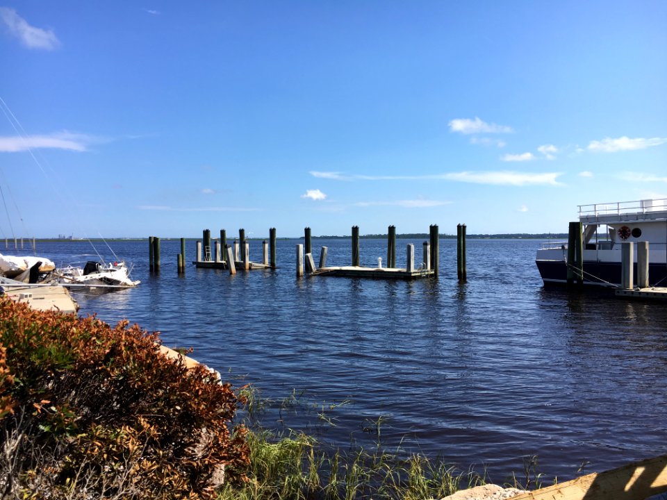 Cumberland Island NS