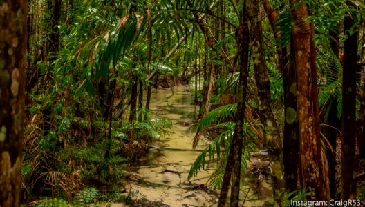 Fraser Island-27 photo