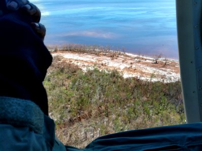 091517 Everglades 02