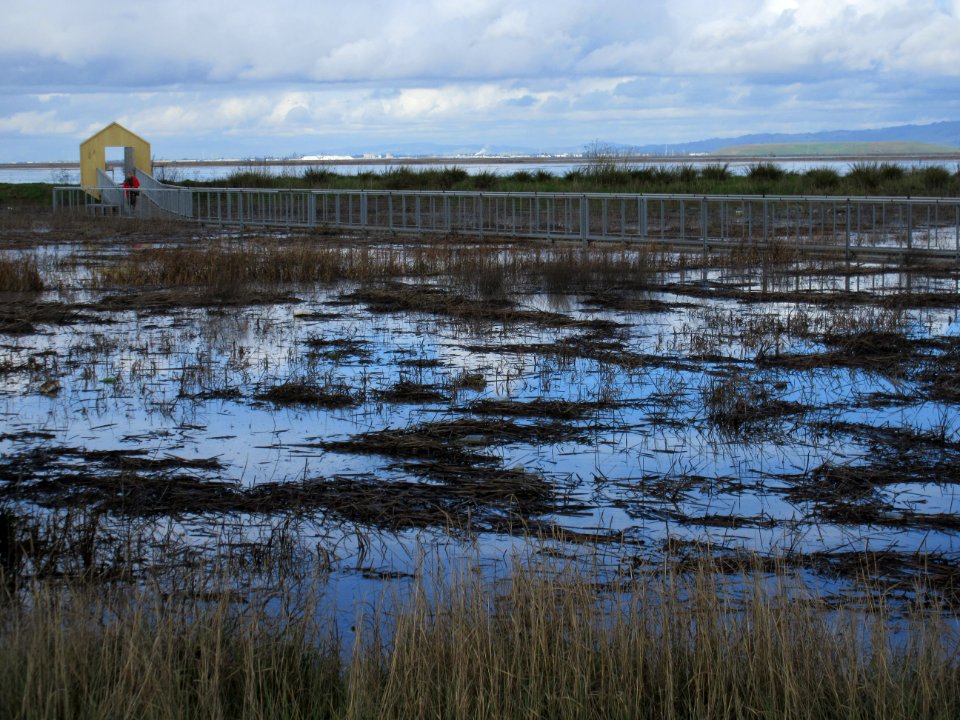 Alviso Marina County Park