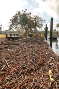 091517 Everglades GCD 17