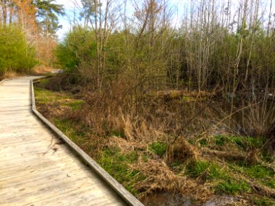 scene stoney crk env park ncwetlands KG (2)