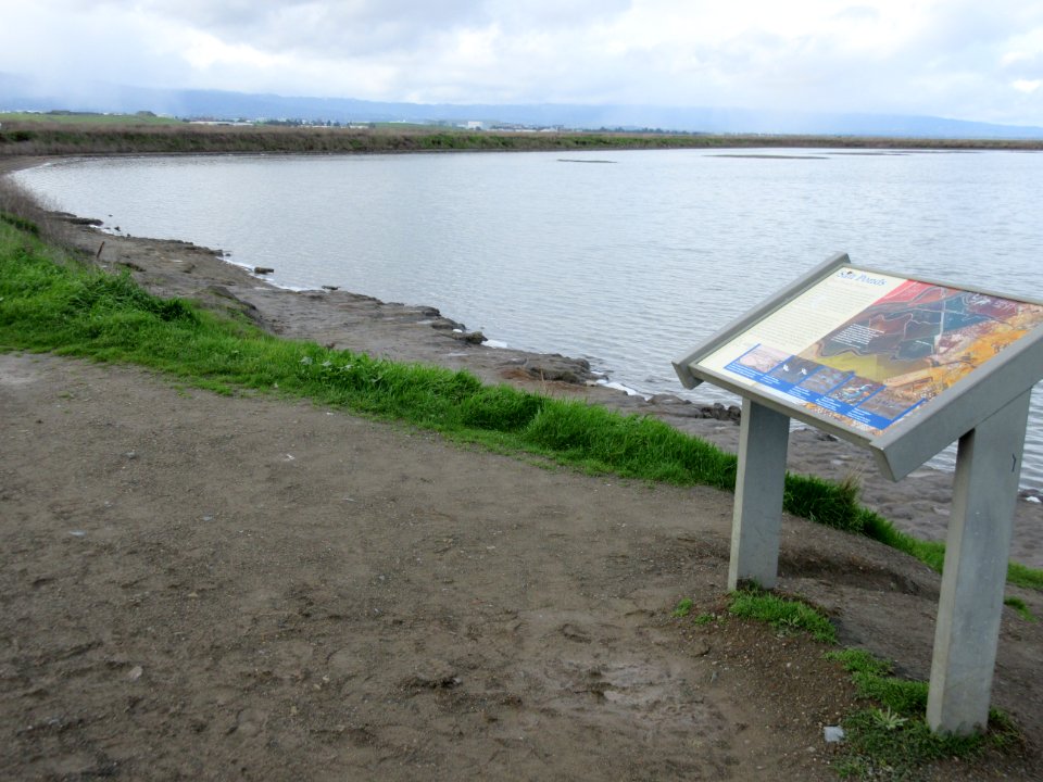 Alviso Slough Trail