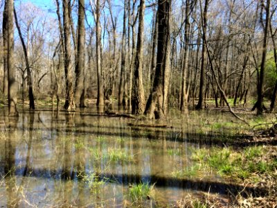 scene river park north ncwetlands KG (16)