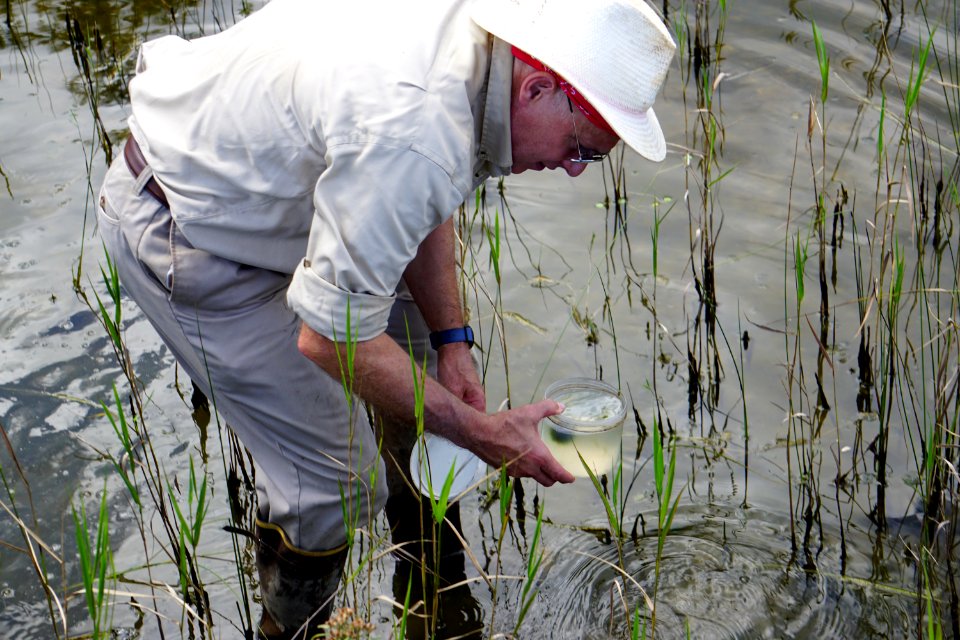 scientist studying wetland Lake Waccamaw State Park ncwetlands KG (1)
