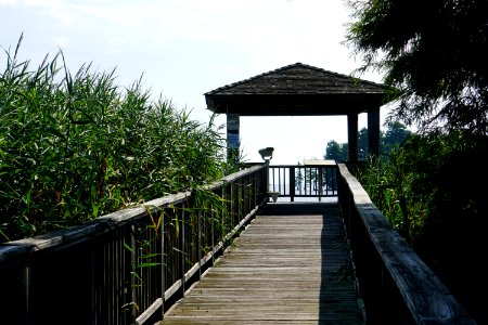 scene obs deck Mattamuskeet NWR ncwetlands KG