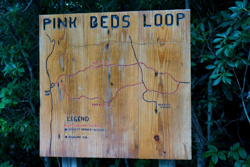 sign Pink Beds Pisgah NF ncwetlands KG (2)