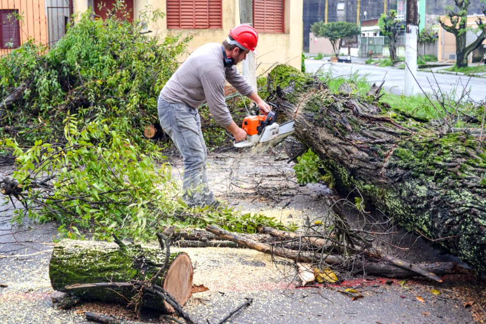24.09.2018 - Queda de árvores na Gomes Carneiro - Foto Janine Tomberg