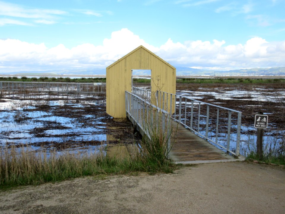 Alviso Marina County Park