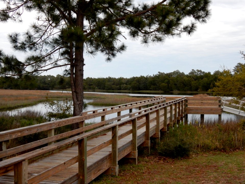 scene bill smith park ncwetlands KG (4)
