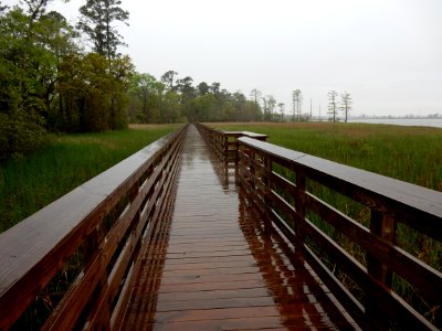 scene Brunswick Riverwalk park ncwetlands KG (9)
