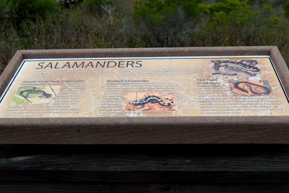 sign latham-whitehurst nature park ncwetlands am (9)