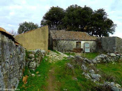 DSCF8643