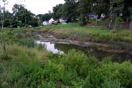Blum Park constructed wetland ncwetlands KG (4)