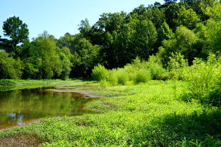 scene Sandy Creek Park KG (202)