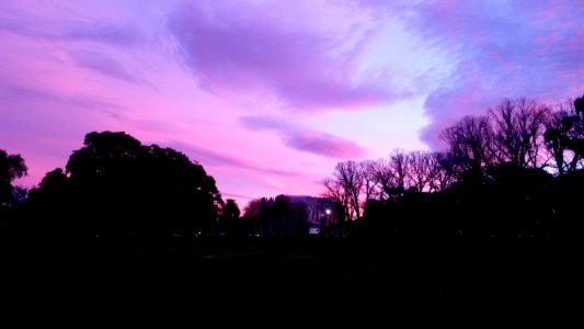 Fawkner Park at sunrise photo