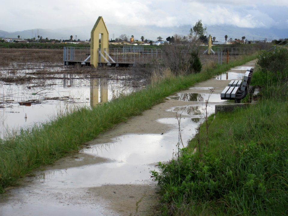 Alviso Slough Trail