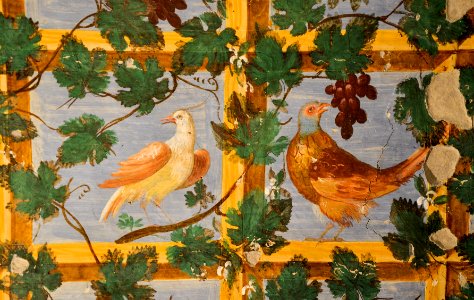 Torrechiara03