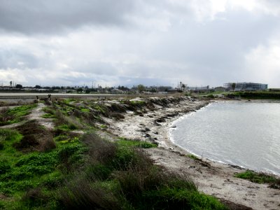 Alviso Slough