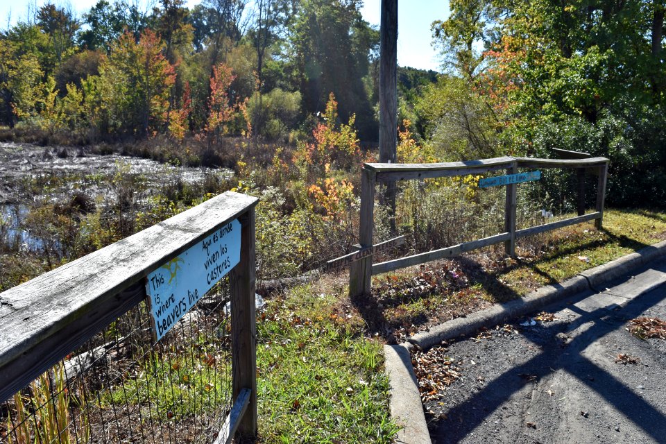 sign Beaver Marsh Preserve ncwetlands KG (9)