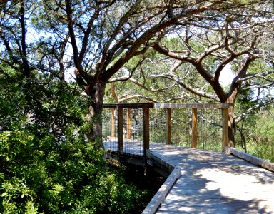 scene boardwalk Fort Macon State Park ncwetlands KG (6)