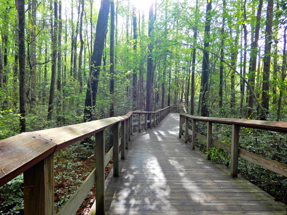 scene Lake Rim Park ncwetlands KG (10)