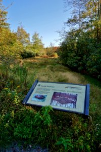 sign about beavers Boone Fork ncwetlands KG (38)
