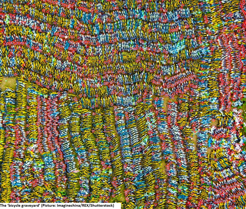Bike-sharing graveyard 6