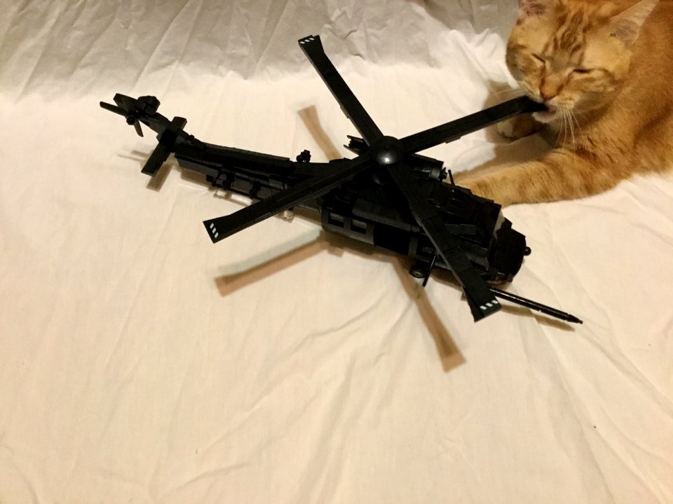 Hungry kitty for lego bird