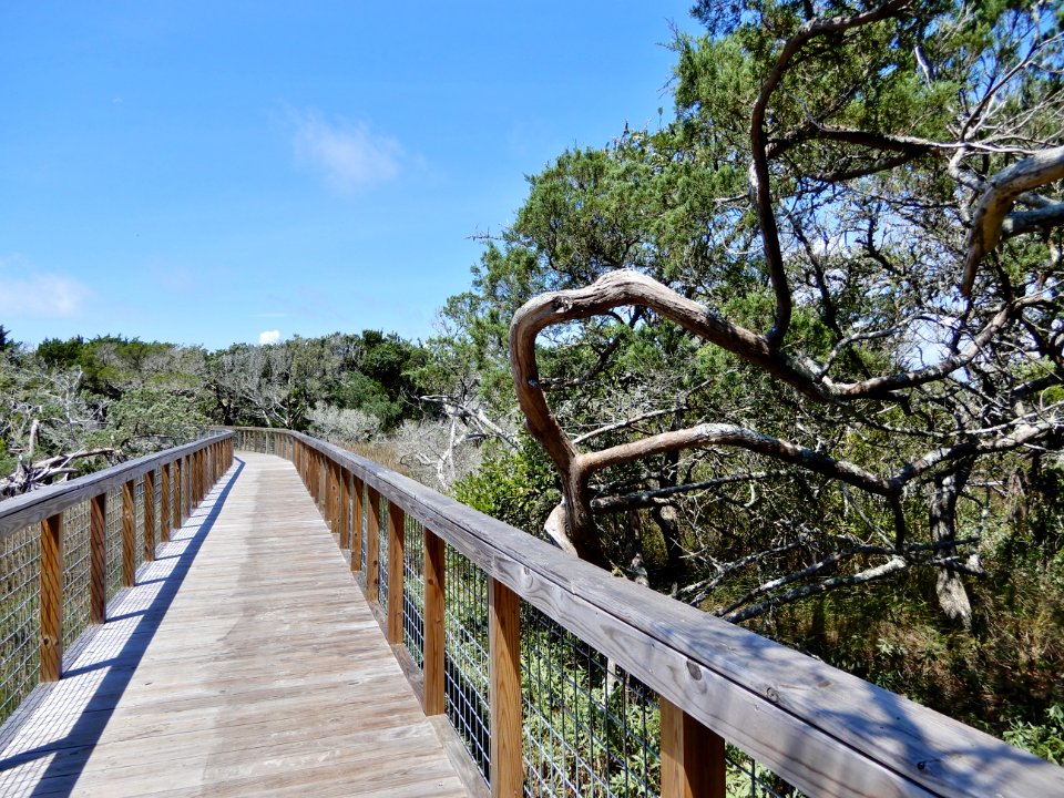 scene boardwalk Fort Macon State Park ncwetlands KG (7)