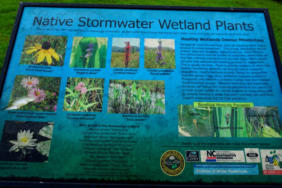 sign R Shomaker Park ncwetlands KG (4)